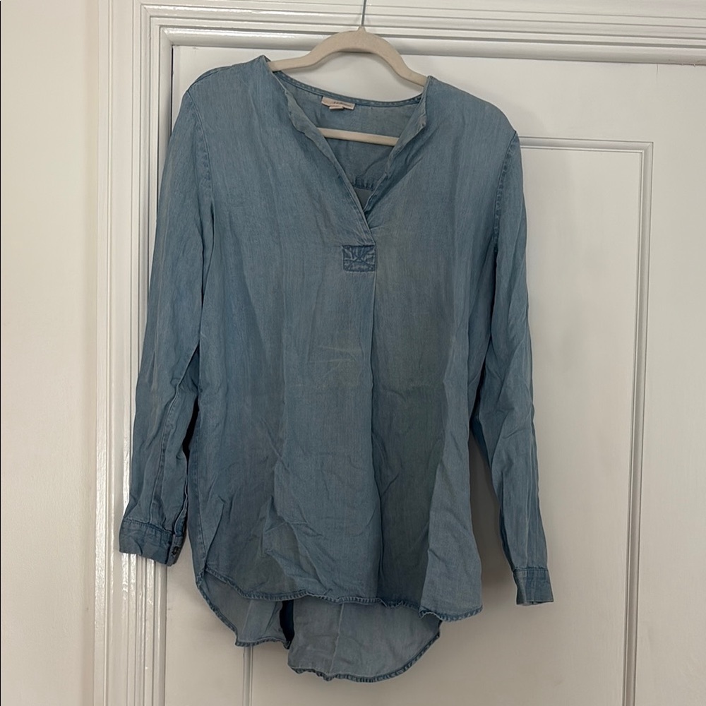J. Jill Gray Long Sleeve Relaxed tunic